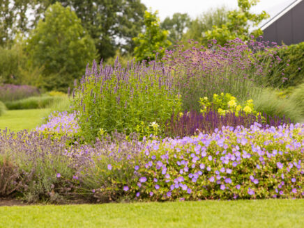 bloemen-in-perk