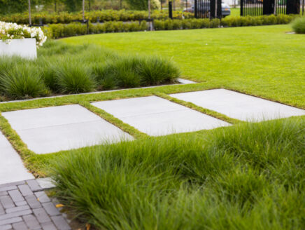 nieuwe-tuin-gazon