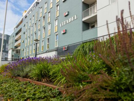 vve-tuin-onderhoud