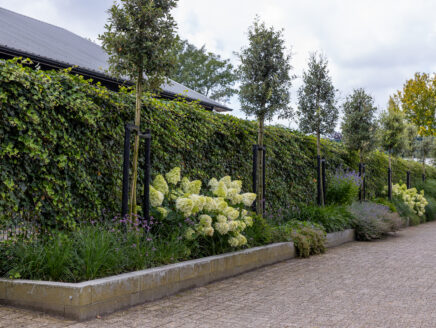 bedrijfstuin-onderhoud
