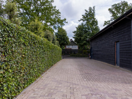 bedrijf-onderhoud-tuin