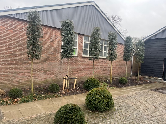 Januari/februari 2025